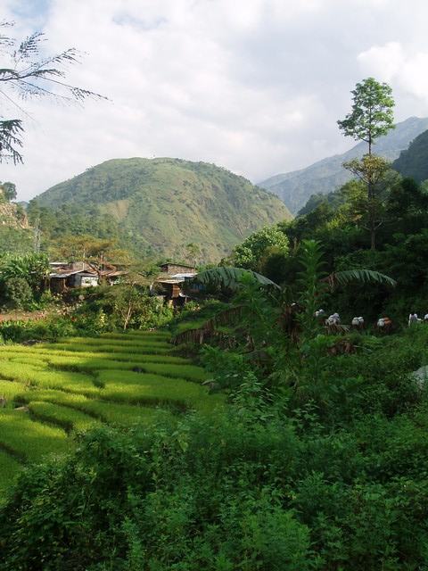 PA090142.jpg