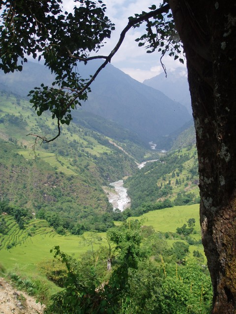 PA090147.jpg