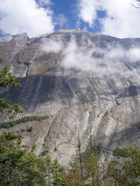 PA130180.jpg
