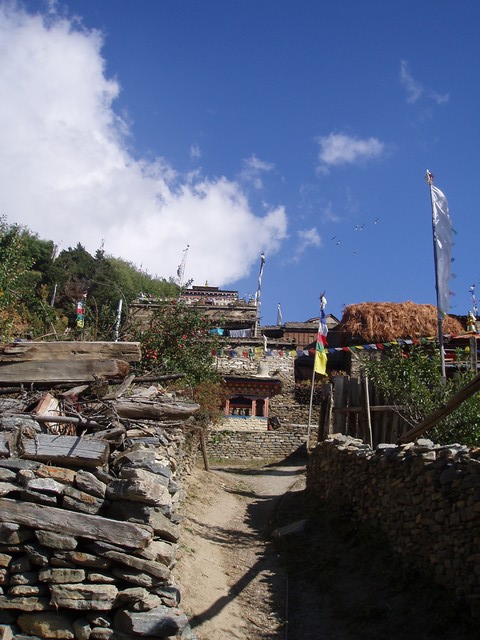 PA130185.jpg