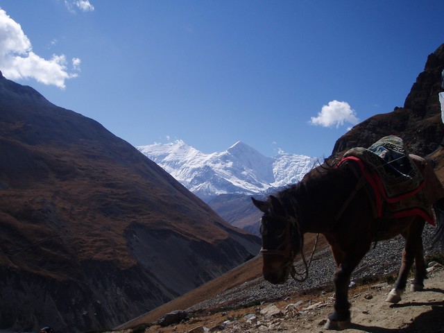 PA180229.jpg