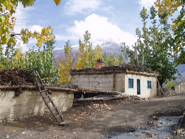 PA200252.jpg