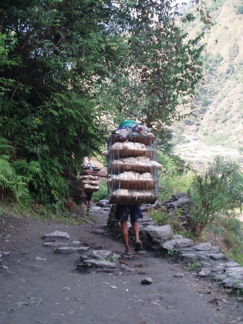 PA230298.jpg