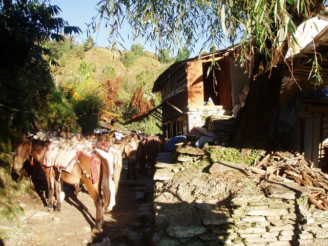 PA260322.jpg