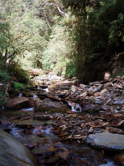 PA270396.jpg