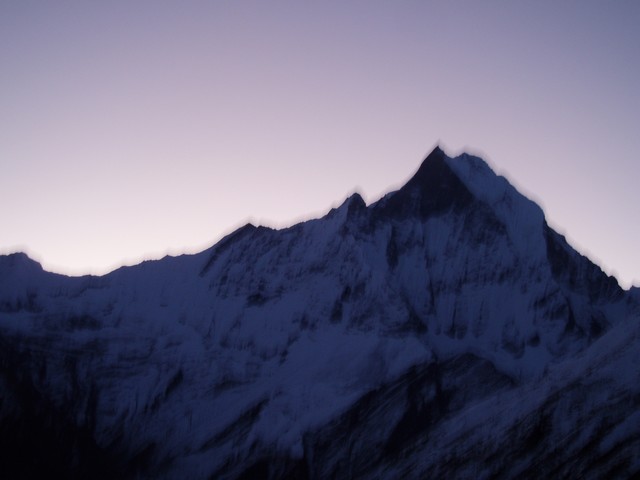PA310434.jpg