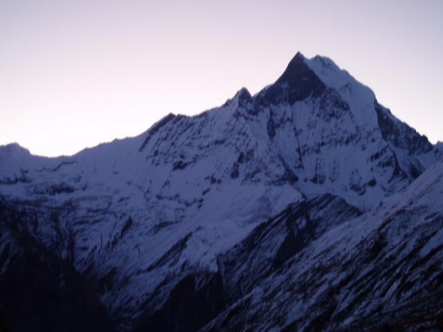 PA310436.jpg