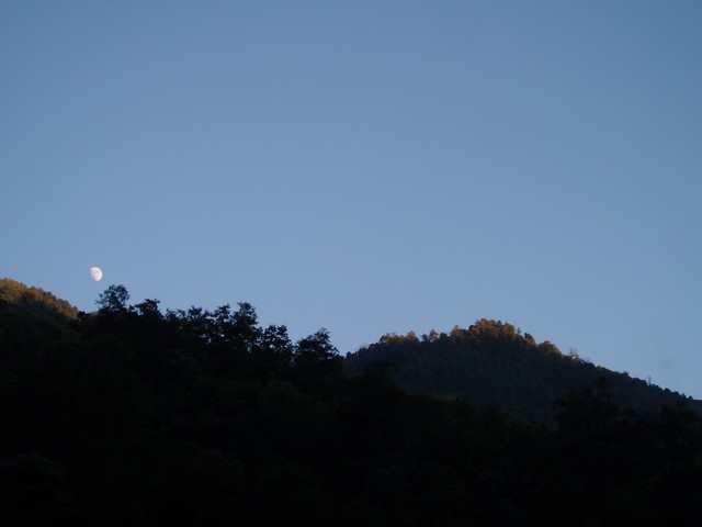 PB010458.jpg
