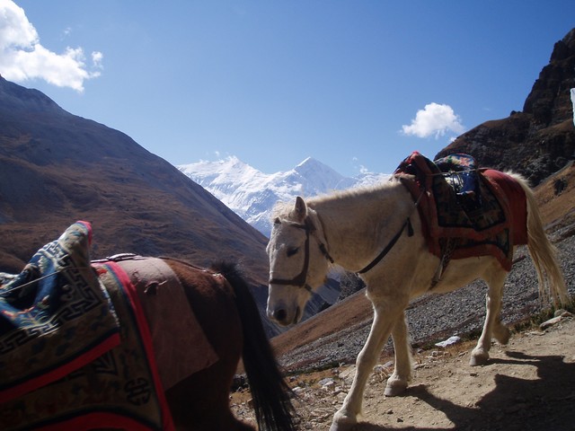 anes-thorung-phedi-high-camp-nepal.jpg