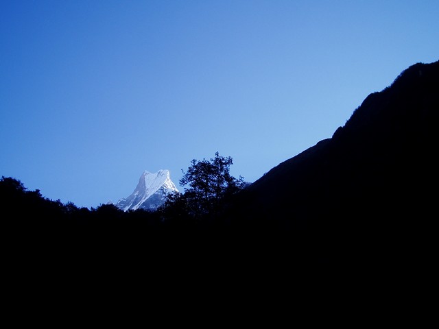 Photo du Machhapuchhere, prise entre Bamboo et Deurali, Népal