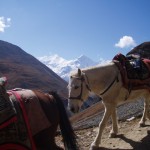 anes-thorung-phedi-high-camp-nepal