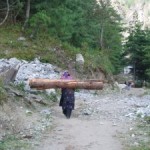 femmes-portant-des-troncs-nepal
