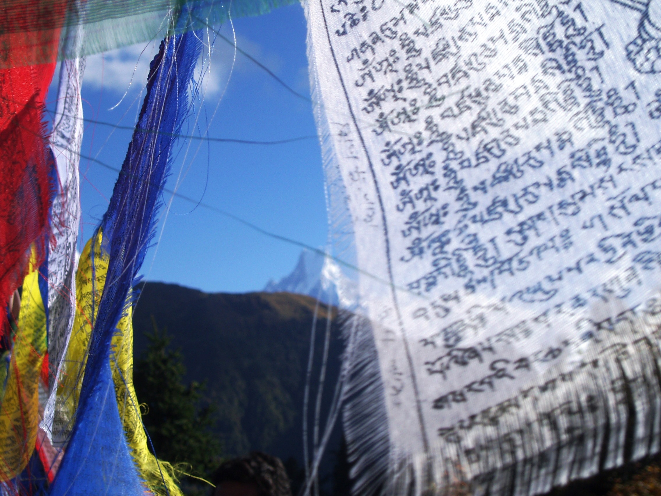Tour des Annapurnas : Ghorepani – Poon Hill – Tadapani