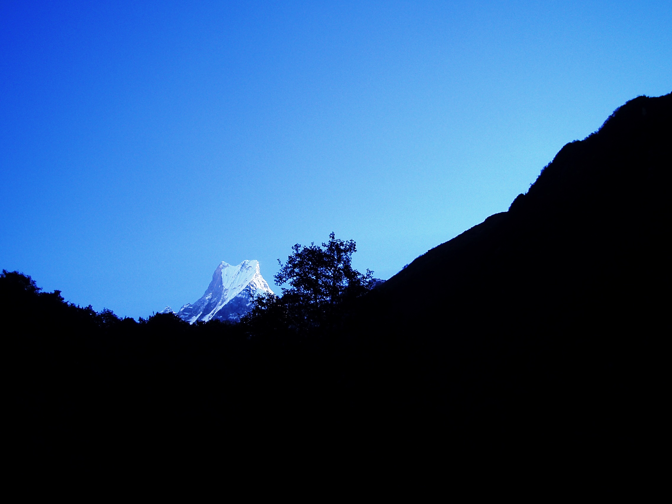 Tour des Annapurnas : Bamboo – Deurali