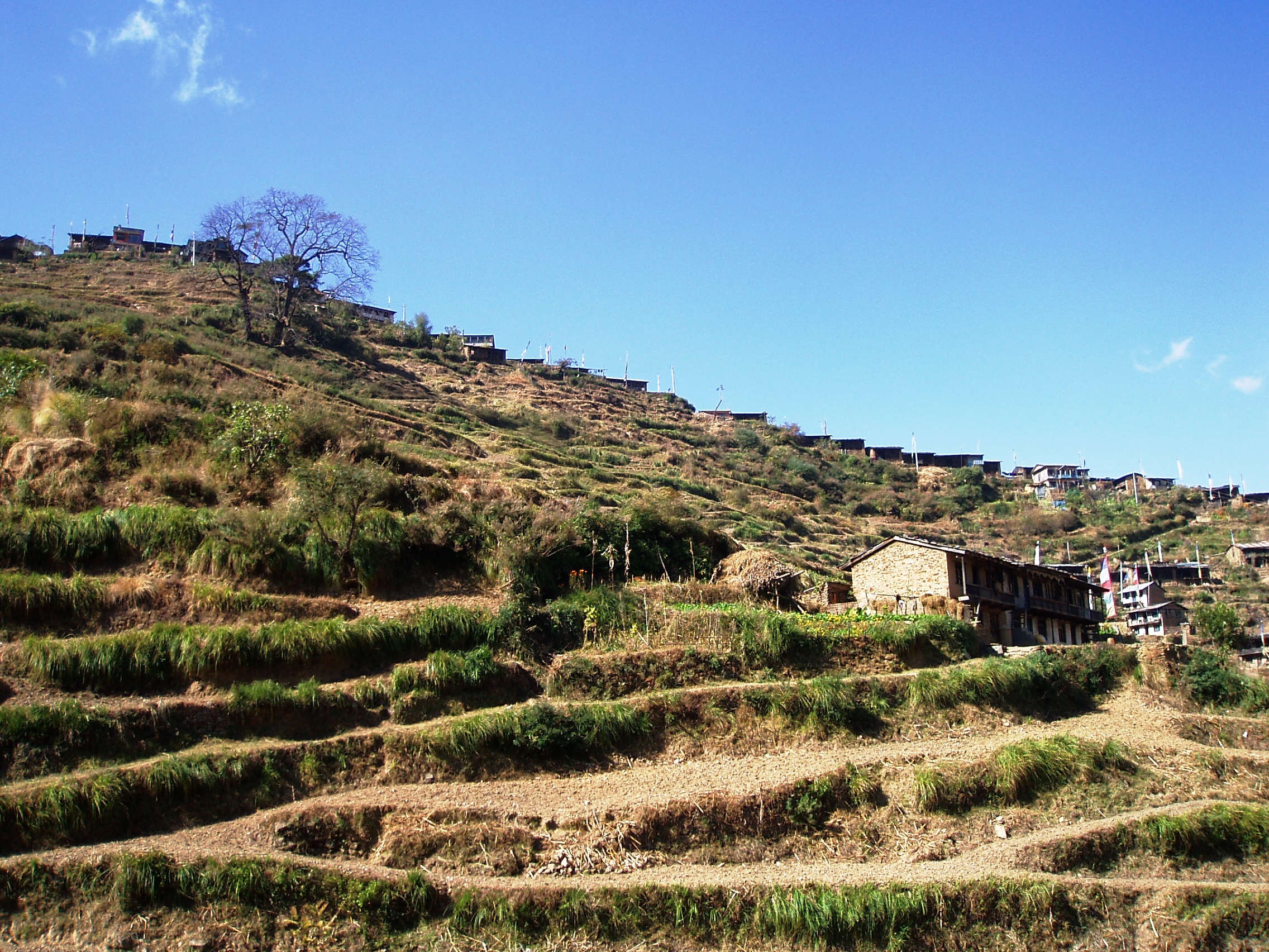 Trek dans le Langtang – Jour 2 : Dunche – Bamboo