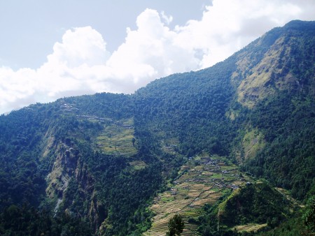 Tour des Annapurnas : Tadapani   Chomrung   Bamboo chomrung trek sanctuaire annapurna nepal 450x338