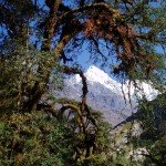 Nepal trekking pictures langtang 2 150x150