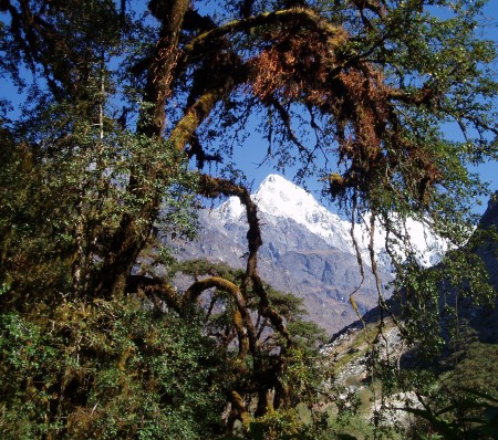 Trek dans le Langtang   Jour 3 : Bamboo   Langtang langtang 2 450x398