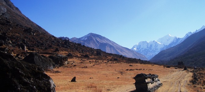 Trek dans le Langtang : Jour 4 : Langtang – Kyanjing Gompa