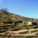 Trek dans le Langtang : présentation des étapes thulo syabru langtang 150x150