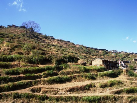 Trek dans le Langtang   Jour 2 : Dunche   Bamboo thulo syabru langtang 450x338