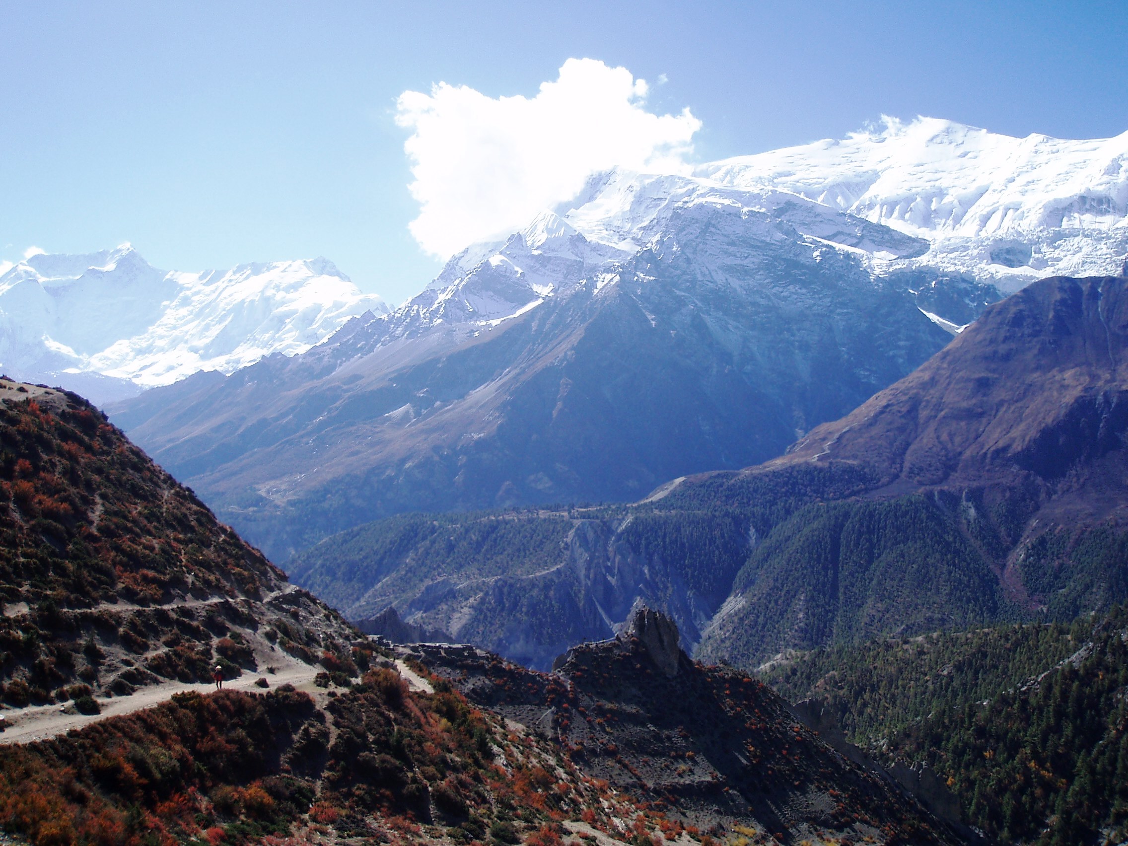 Tour des Annapurnas : Manang – Laddar (Letdar)