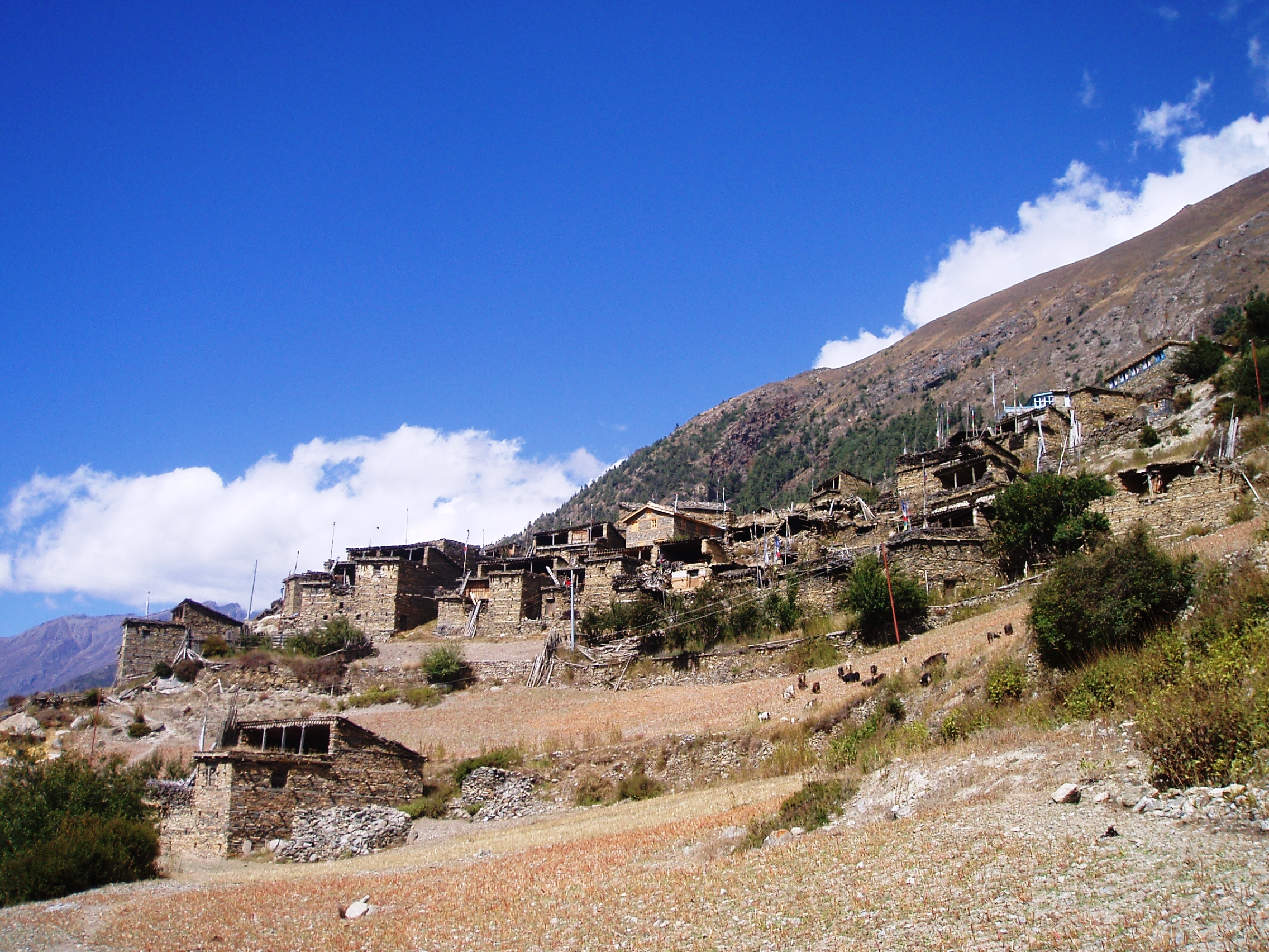 Tour des Annapurnas : Chame – Upper Pisang