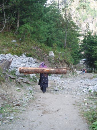 Tour des Annapurnas : Temang   Chame femmes portant des troncs nepal2 338x450