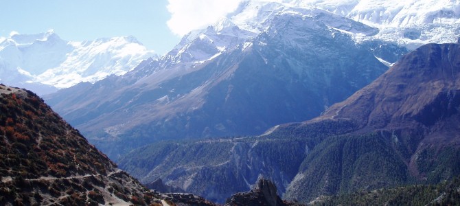 Tour des Annapurnas : Manang – Laddar (Letdar)