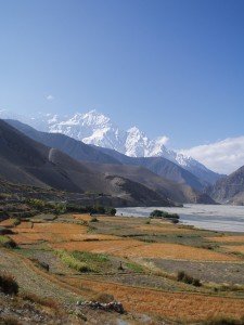 Tour des Annapurnas : Kagbeni   Jomosom   Marpha nilgiri kagbeni tour des annapurnas nepal 225x300